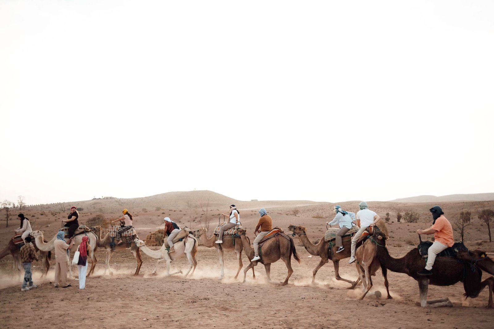 Camel ride in the Agafay Desert