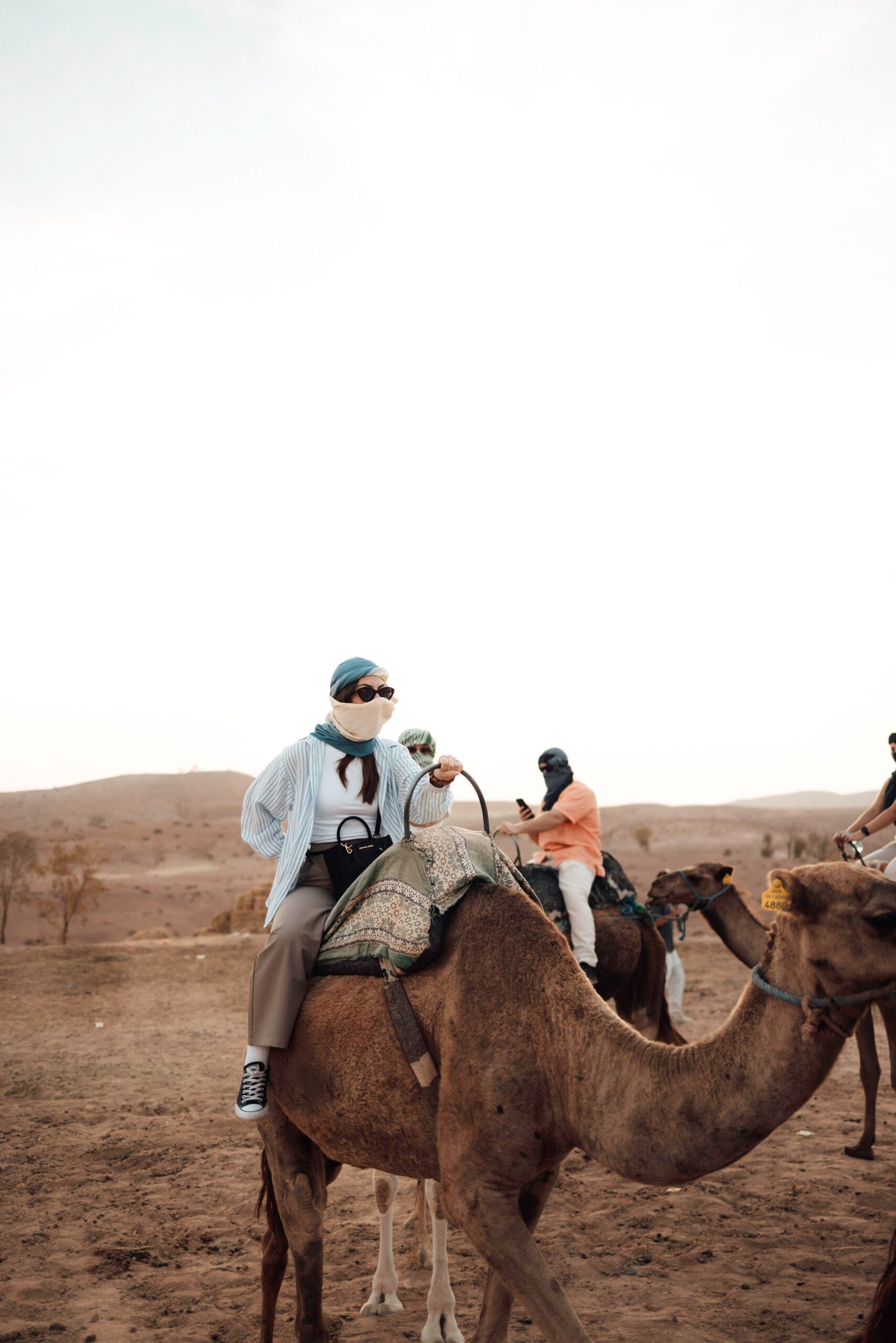 Camel ride experience in Agafay