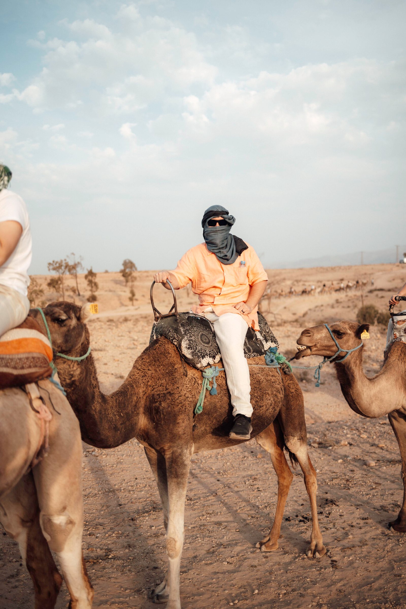 Camel ride in Agafay