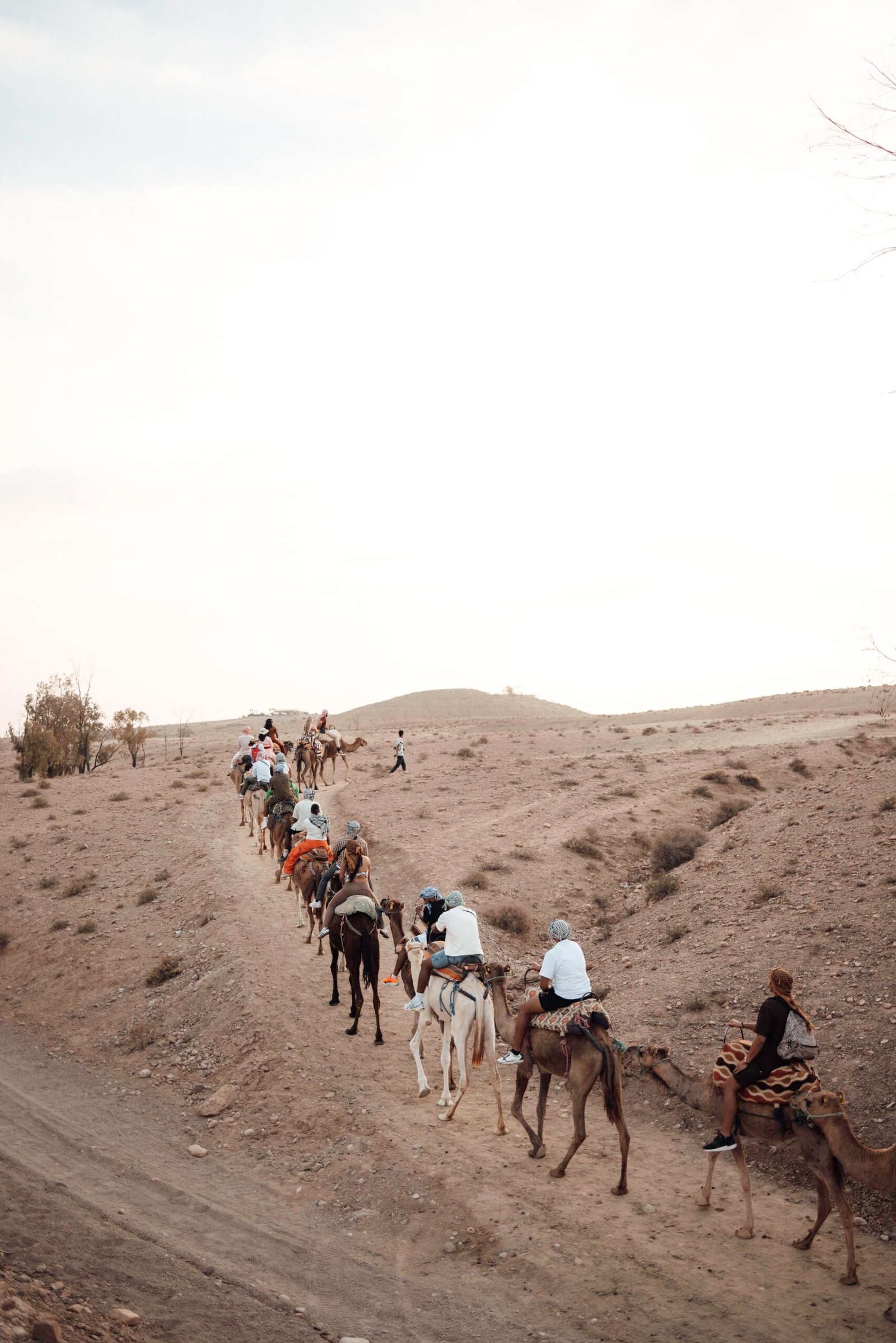 Camel ride in the Agafay Desert