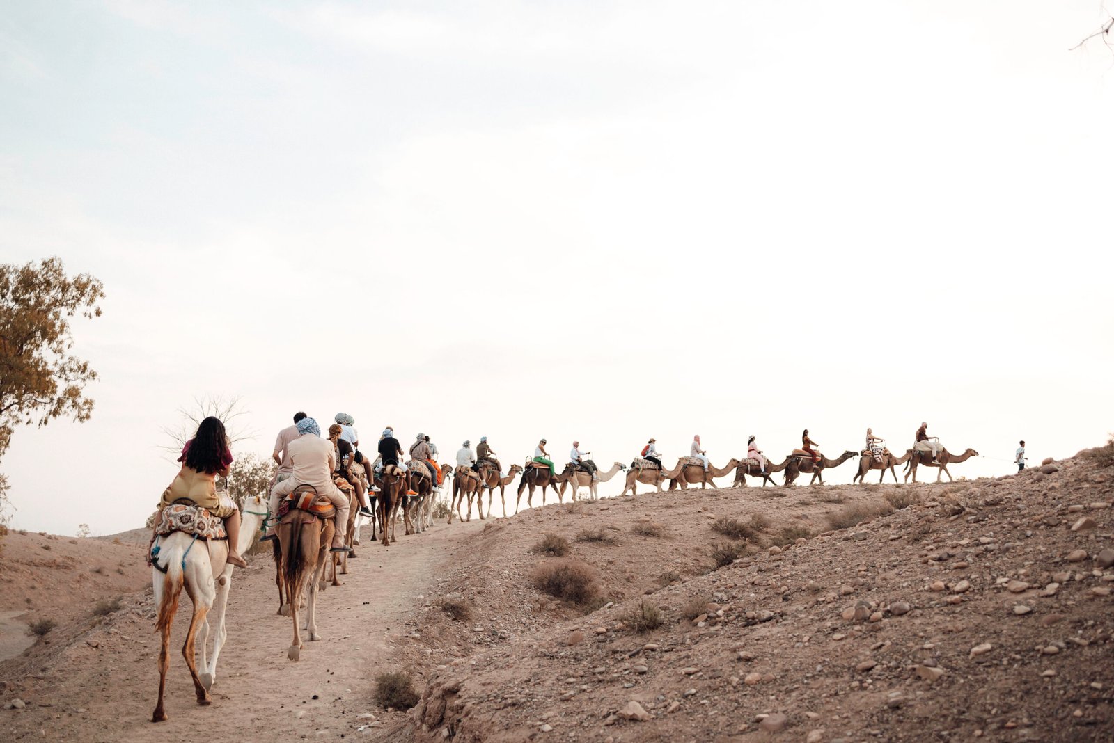 Camel caravan surrounded by the Agafay landscape