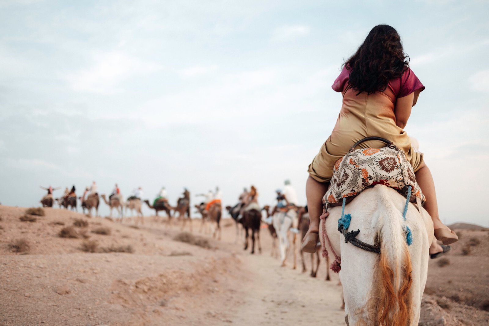 Camel Ride